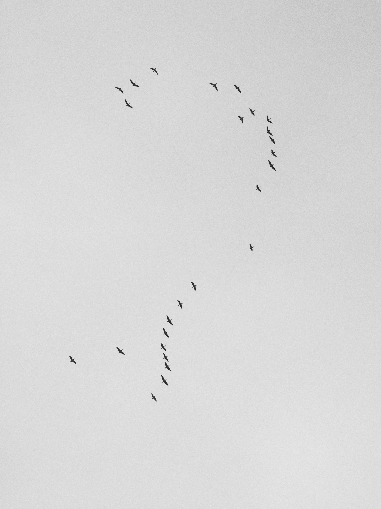 Συχνές Ερωτήσεις